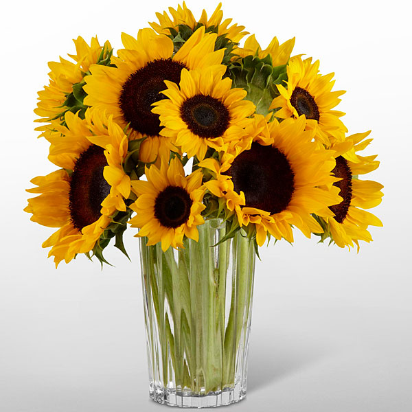 1 cutoff Daydreamâ„¢ VASE â€“ Bouquet FTD® Sunshine  INCLUDED  Judy The