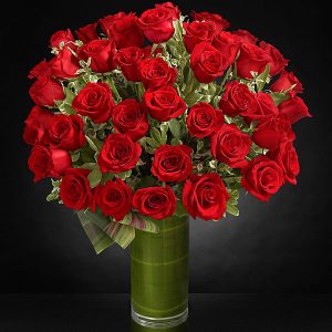 Marquis By Waterford Premium Long Stem Red Roses ⋆ Judy's Village ...