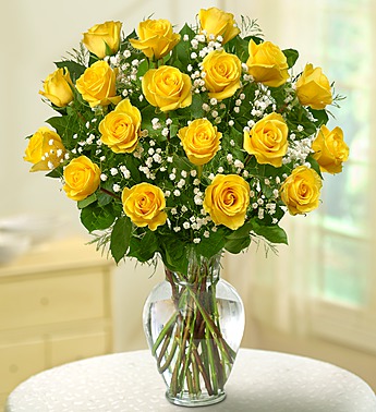 Rose Elegance Premium Long Stem Yellow Roses Judy s 