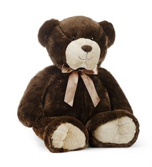big brown teddy bear