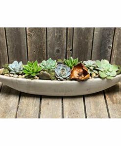SUCCULENTS IN STONE -LARGE