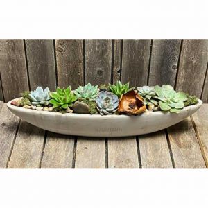 SUCCULENTS IN STONE -LARGE