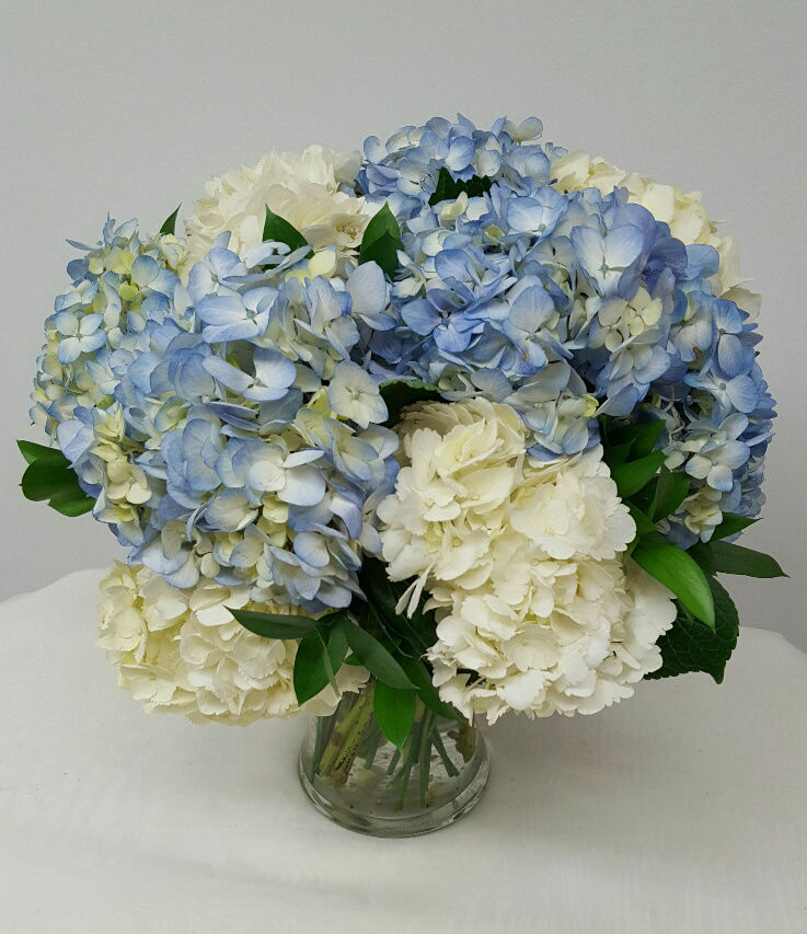 Hydrangea Chinoiserie Jenna printVase of blue flowers classic blue and ...