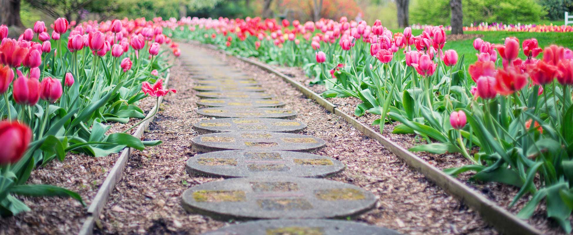 Foxboro MA Florist ⋆ Judy's Village Flowers ⋆ Established 1990