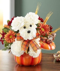 a-DOG-able for Fall