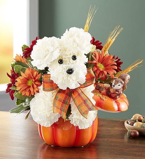 a-DOG-able for Fall