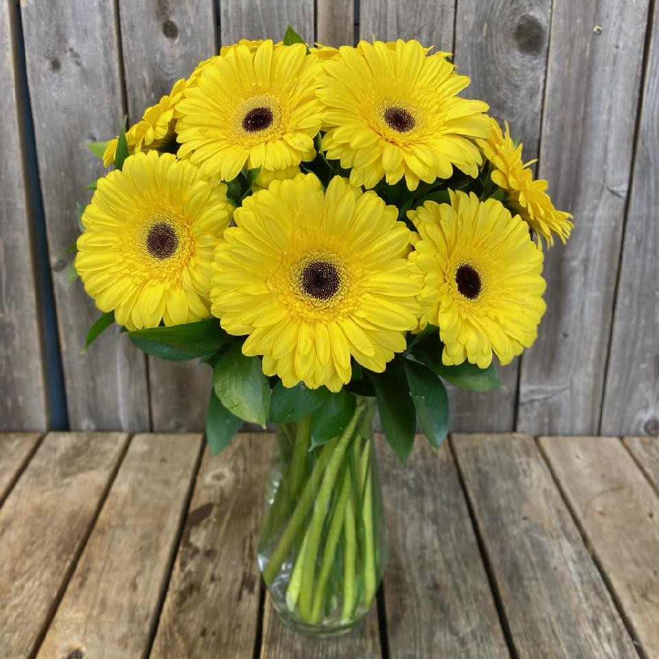 Sunny Gerbera Vase Judy s Village Flowers Foxboro MA