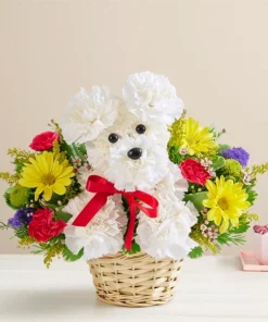 Image of A-Dog-Able In A Basket.