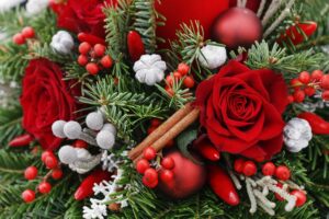 Image showing Christmas Flowers