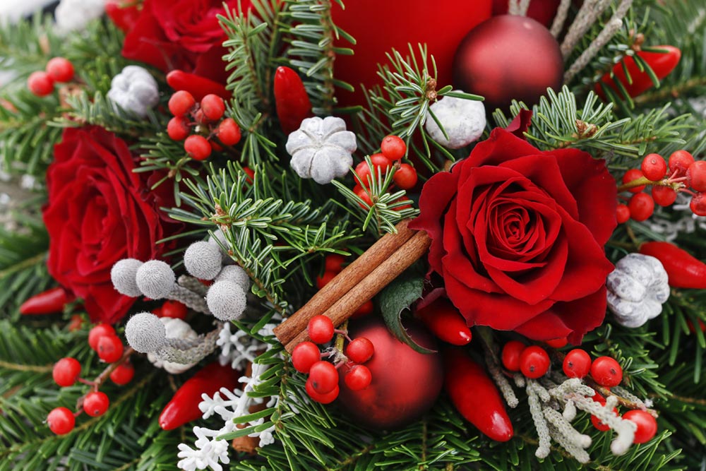 Image showing Christmas Flowers