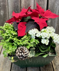 Vintage Square Holiday Planter