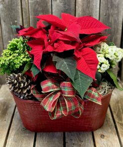 Vintage Oval Holiday Planter